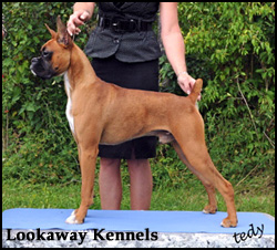 Lookaway Kennels
