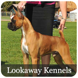 Lookaway Kennels