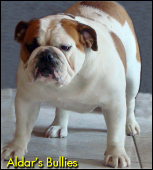 Aldar's Bullies