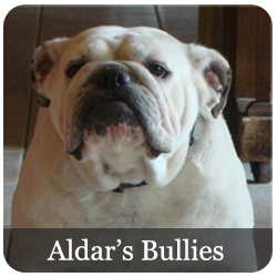 Aldar's Bullies