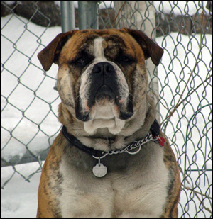 Ephraim Kennel