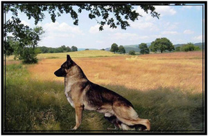 Hinesonhaus Reg'd German Shepherds Of Distinction