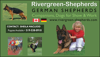 Rivergreen Shepherds