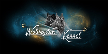 German Shepherd Puppies - Wolvesden Kennel