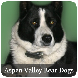 Aspen Valley Kennels