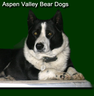 Aspen Valley Kennels