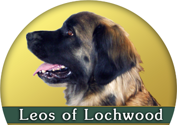 Leos of Lochwood