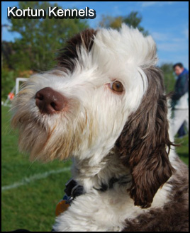 Kortun Kennels