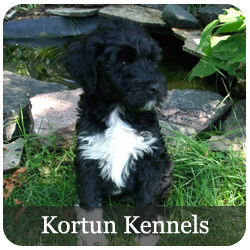 Kortun Kennels