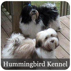 Hummingbird Kennel