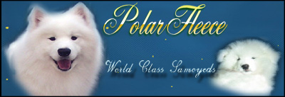 Polarfleece Samoyeds