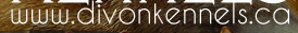 Divon Kennels