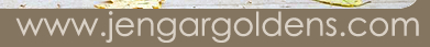 Jengar Golden Retrievers