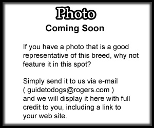 Photo Coming Soon