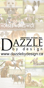 Dazzle by Design Graphics Studio Inc.